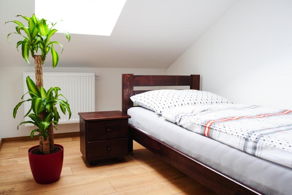 Apartmány RUMPA-DRINKS - 6