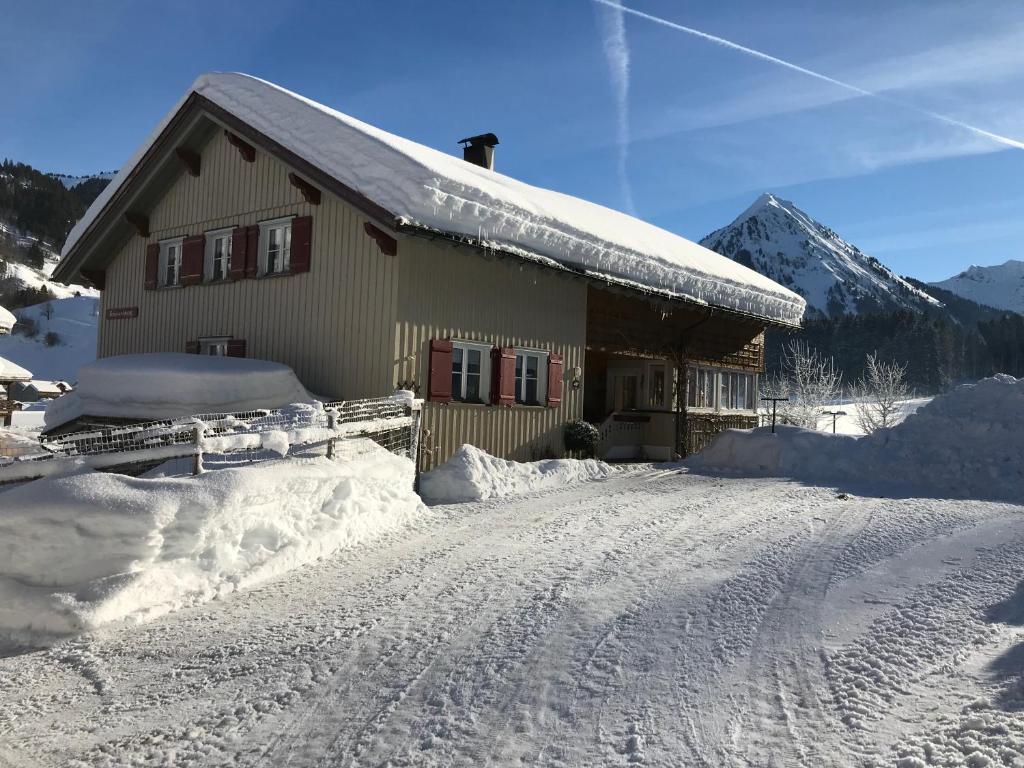 Haus Stabentheiner v zimě