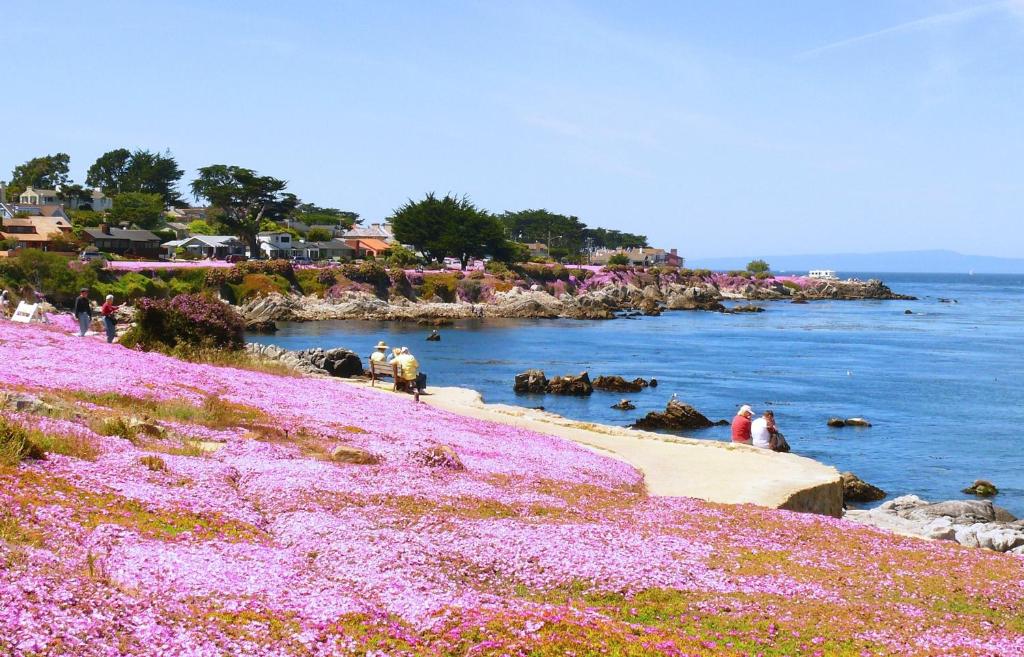 Sea Breeze Inn - Pacific Grove photo
