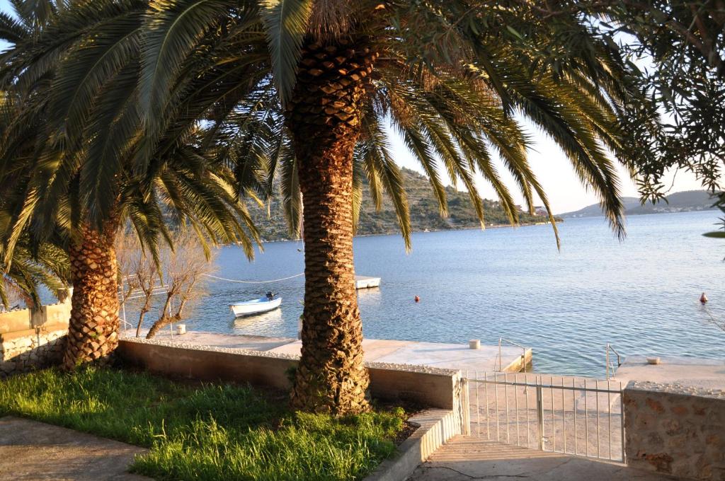 two palm trees next to a body of water at BM Apartments Rogoznica in Rogoznica
