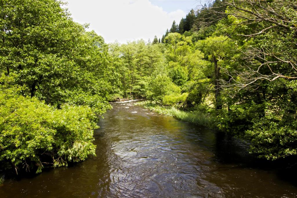 Naturlandschaft in der Nähe des Hotels