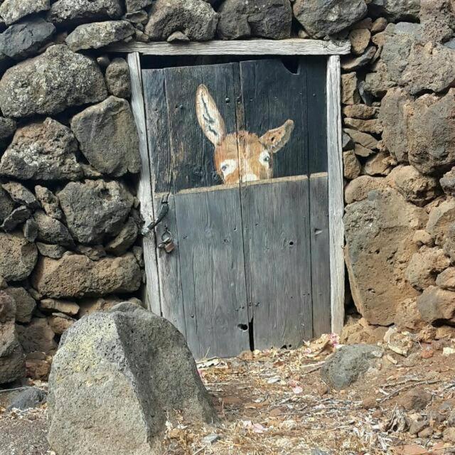 Fotografie z fotogalerie ubytování Casa Rural LAS TIAS III v destinaci Tijarafe