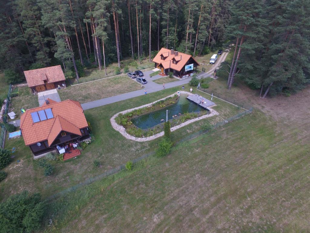 an aerial view of a house with a swimming pool at Dom pod Sosnami in Płaska