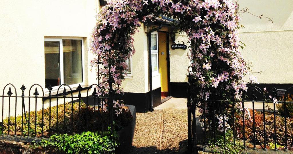 una recinzione con un mazzo di fiori viola sopra di Hillside Bed and Breakfast a Crediton