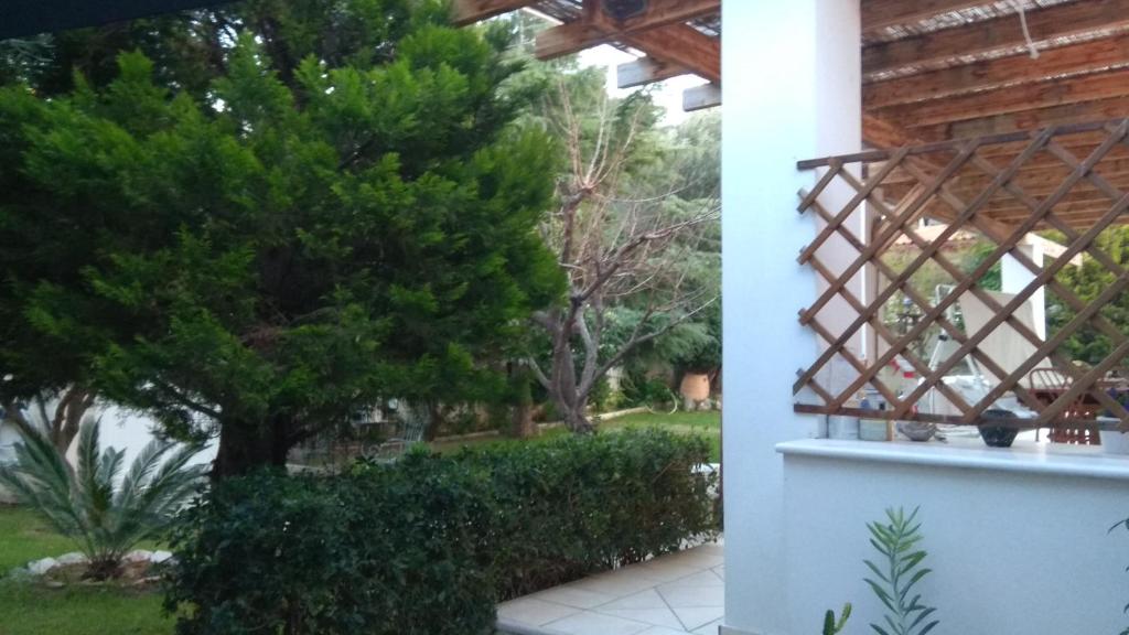 Zahrada ubytování Casa Martina 1 SPATA 10min Athens airport
