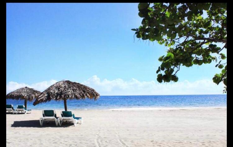 einen Strand mit Liegestühlen und Sonnenschirmen und dem Meer in der Unterkunft Mar azul 401 in San Felipe de Puerto Plata