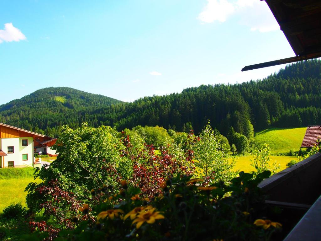 Fotografia z galérie ubytovania Appartment Kainhofer v destinácii Sankt Martin am Tennengebirge