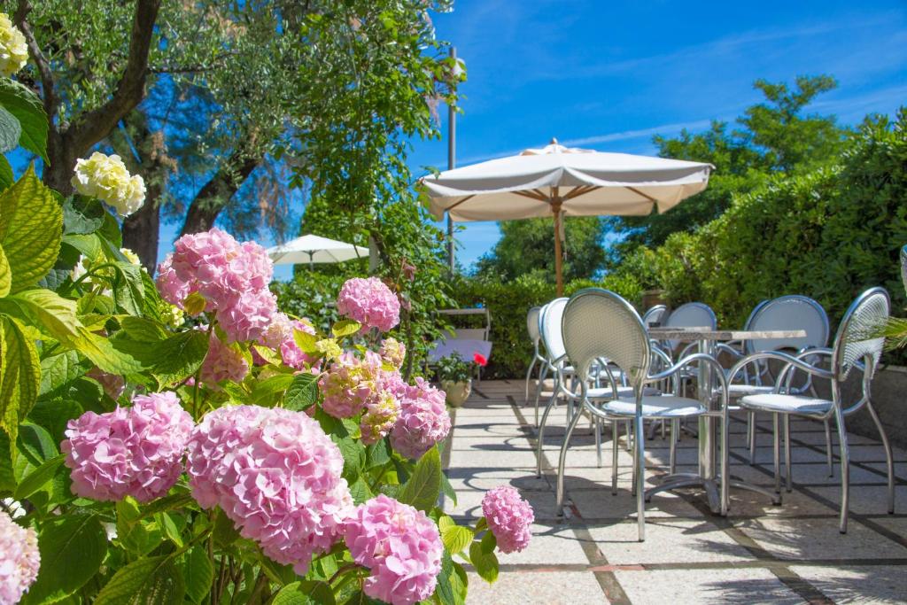 Zahrada ubytování Hotel Adler