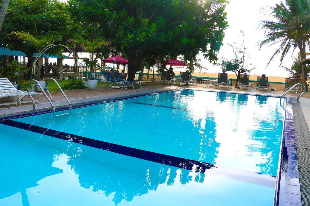 a large blue swimming pool with chairs and trees at Topaz Beach Hotel in Negombo