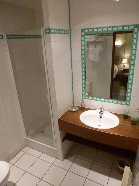a bathroom with a sink and a shower at Château de Ribourdin in Chevannes