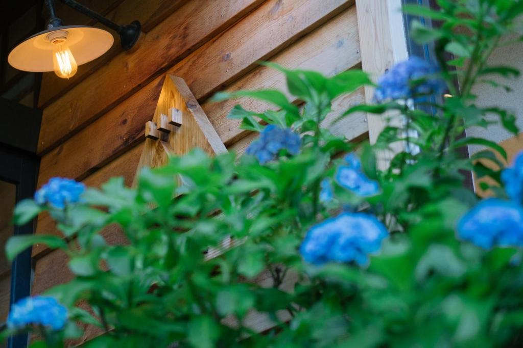 Zahrada ubytování Onsen Guesthouse HAKONE TENT