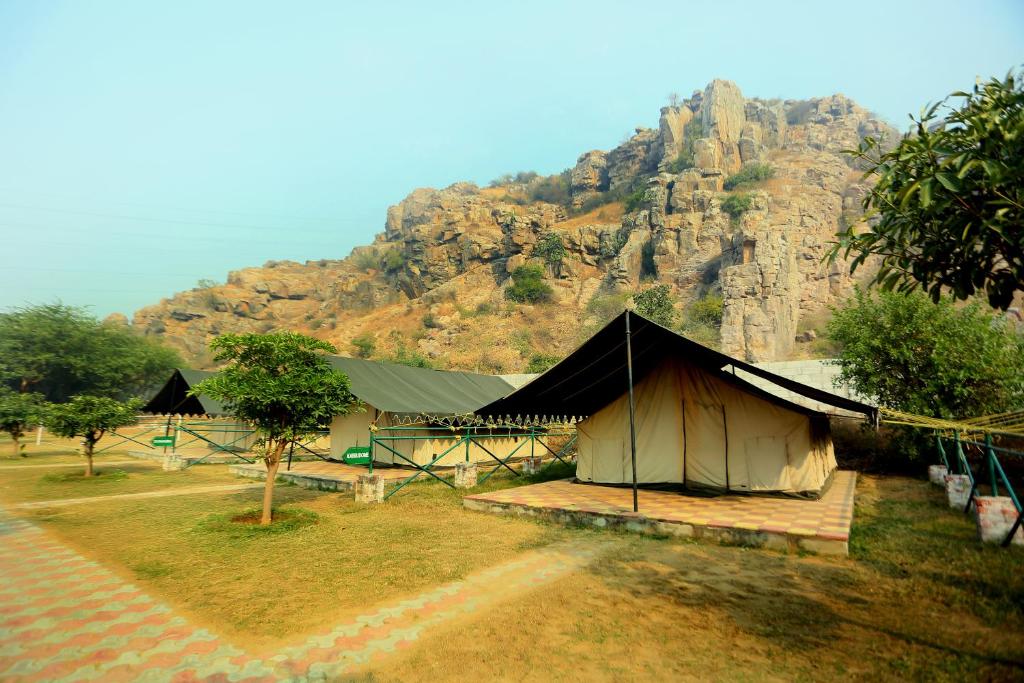 Camp Wild Dhauj At Aravali Valley Dhauj Updated 2021 Prices