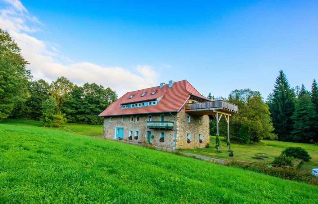 ein Haus mit rotem Dach auf einem grünen Feld in der Unterkunft Fewo Schächtelschleif in Waldmünchen