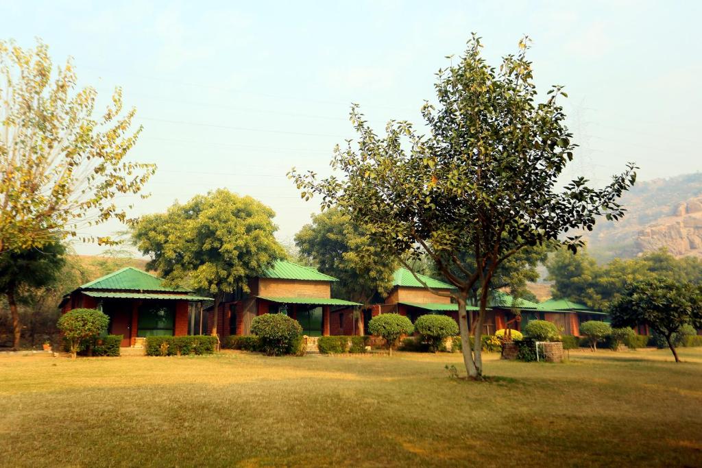Camp Wild Dhauj At Aravali Valley Dhauj Updated 2021 Prices