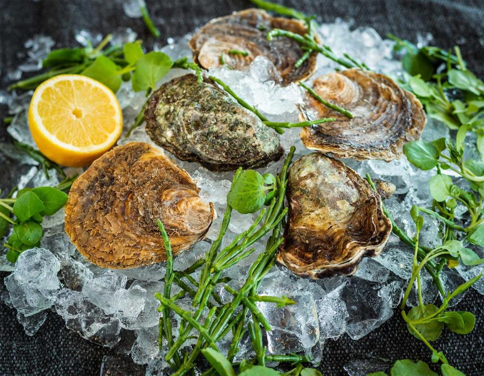 a group of oysters on ice with a lemon at The Brudenell in Aldeburgh