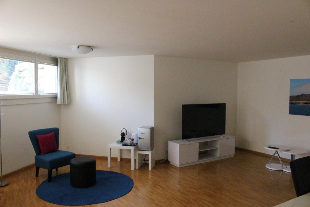 TV a/nebo společenská místnost v ubytování A Casa Fina- a modern room close to Basel