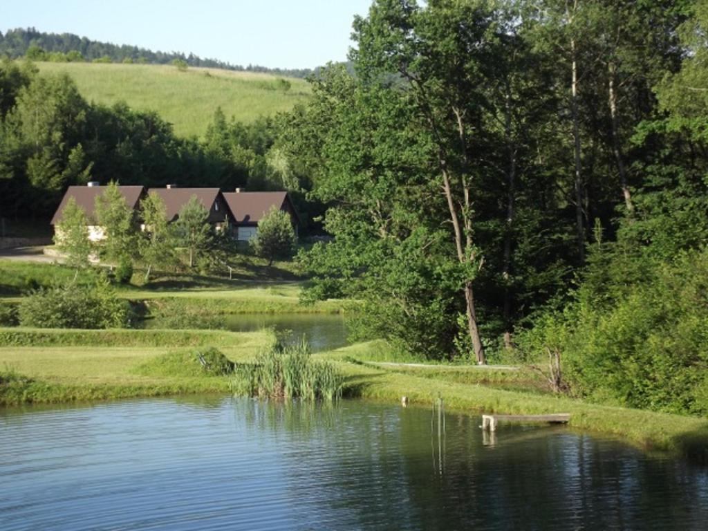 een huis op een heuvel naast een rivier bij Domek całoroczny El Coyote in Hoczew