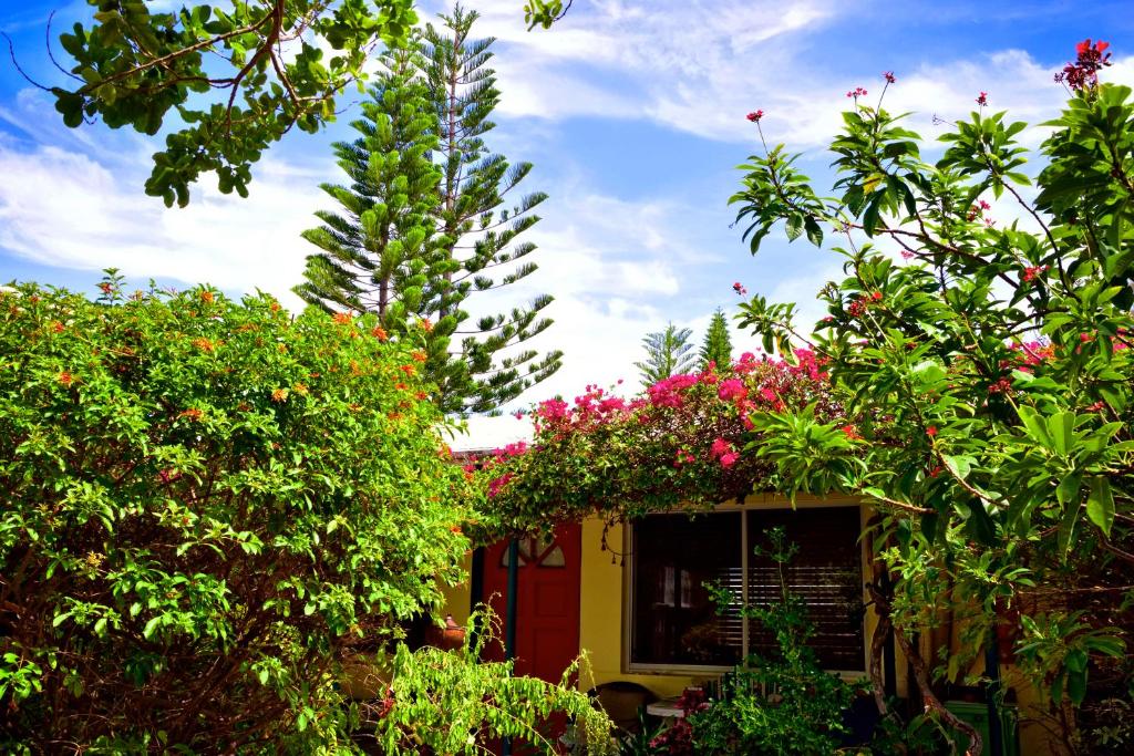 a house with a bunch of flowers and trees at The Desoto - Oceanview Inn in Hollywood