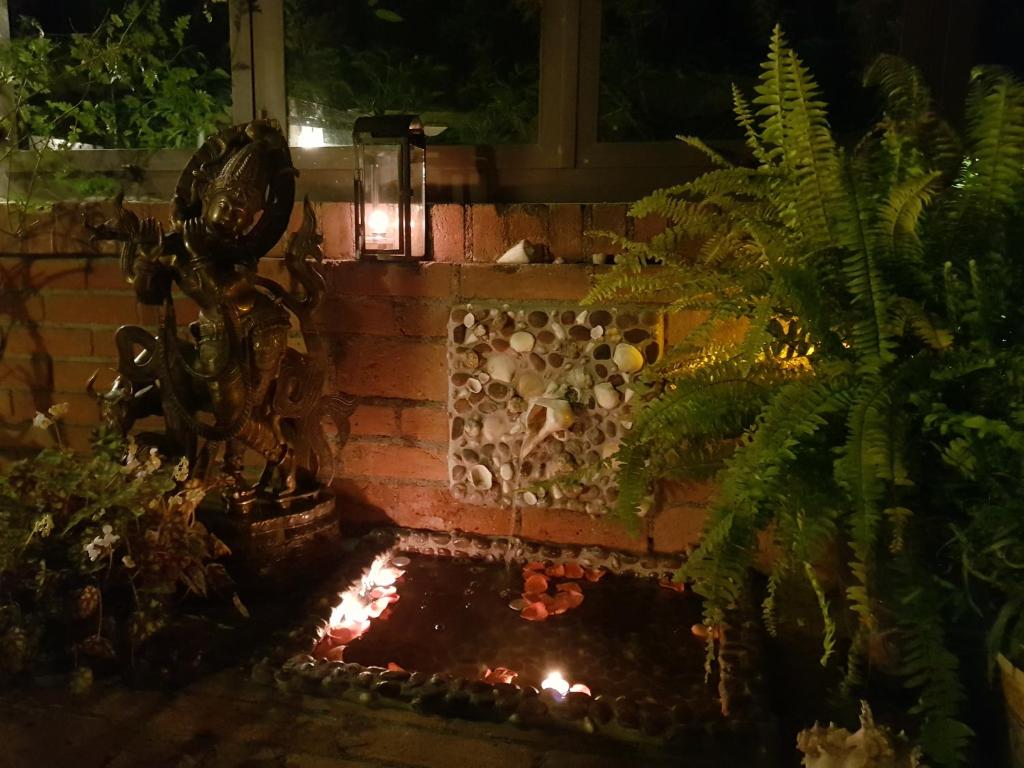Zahrada ubytování Casa Embrujo Morelia - Boutique
