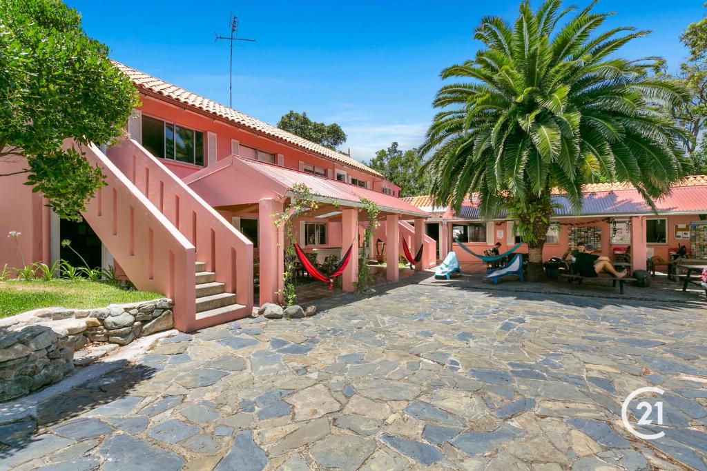 una casa rosa con una palmera delante de ella en Dolphins Backpackers, en Sunshine Beach