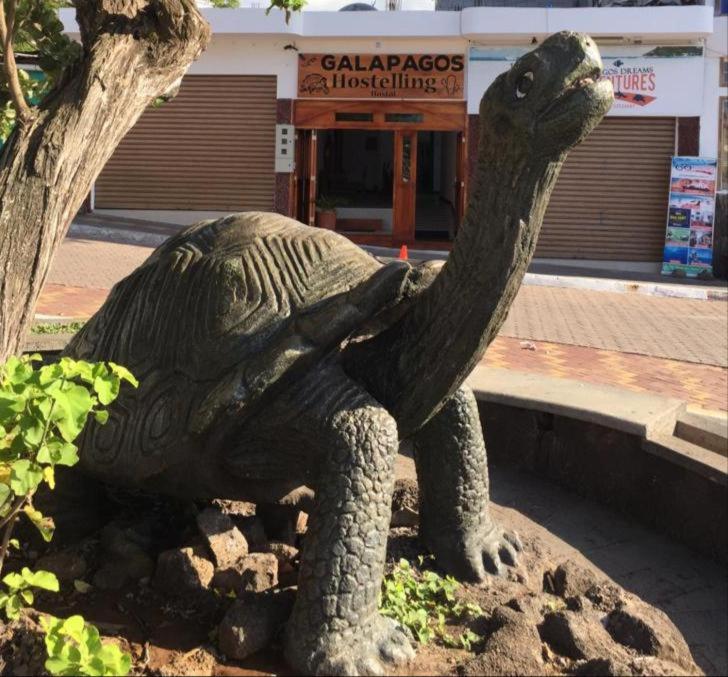 una estatua de una tortuga frente a un edificio en New Galapagos Hostelling, en Puerto Ayora