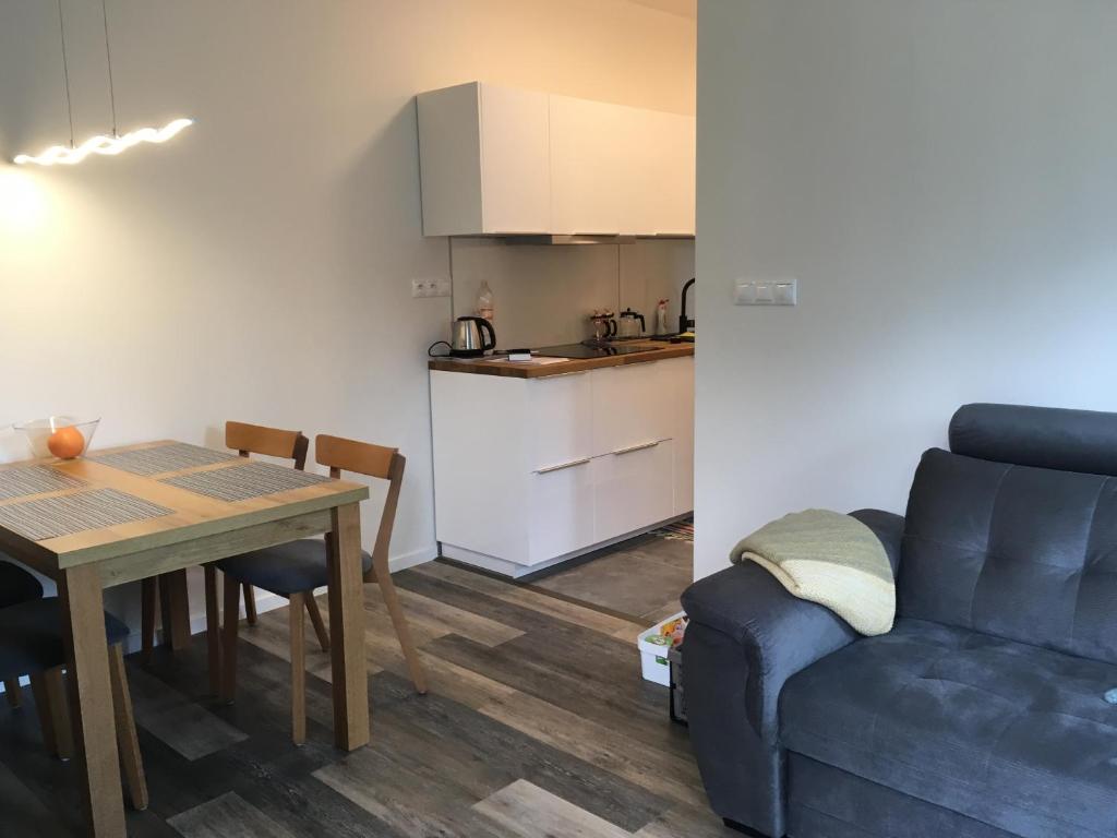 Kuchyň nebo kuchyňský kout v ubytování Apartmán Smokovec