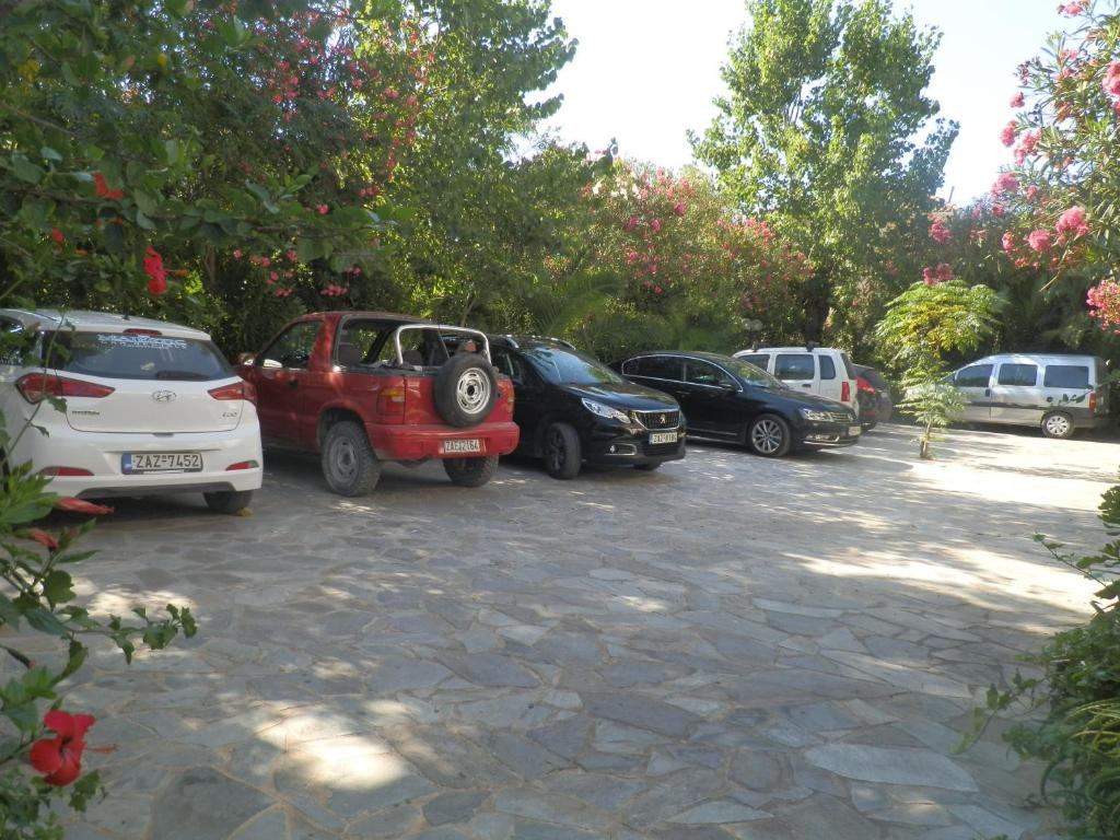 Villa Daizy Boutique Apartments - 16