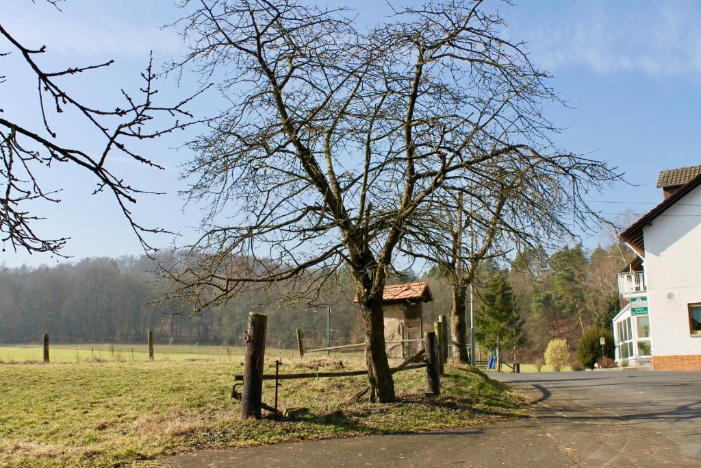 Příroda nedaleko penzionu – hostince