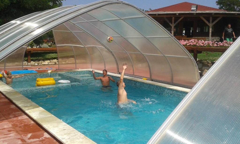 a couple of people in a swimming pool under a cover at Farkasverem Vendégház in Nyírtura