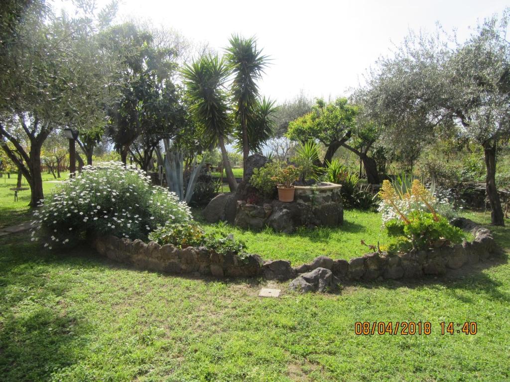Ogród w obiekcie B&B Villa Maria Giovanna