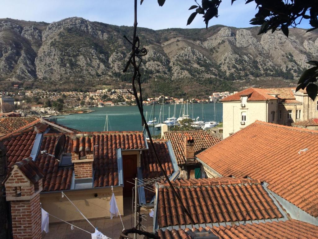 Φυσικό τοπίο κοντά σε αυτό το διαμέρισμα