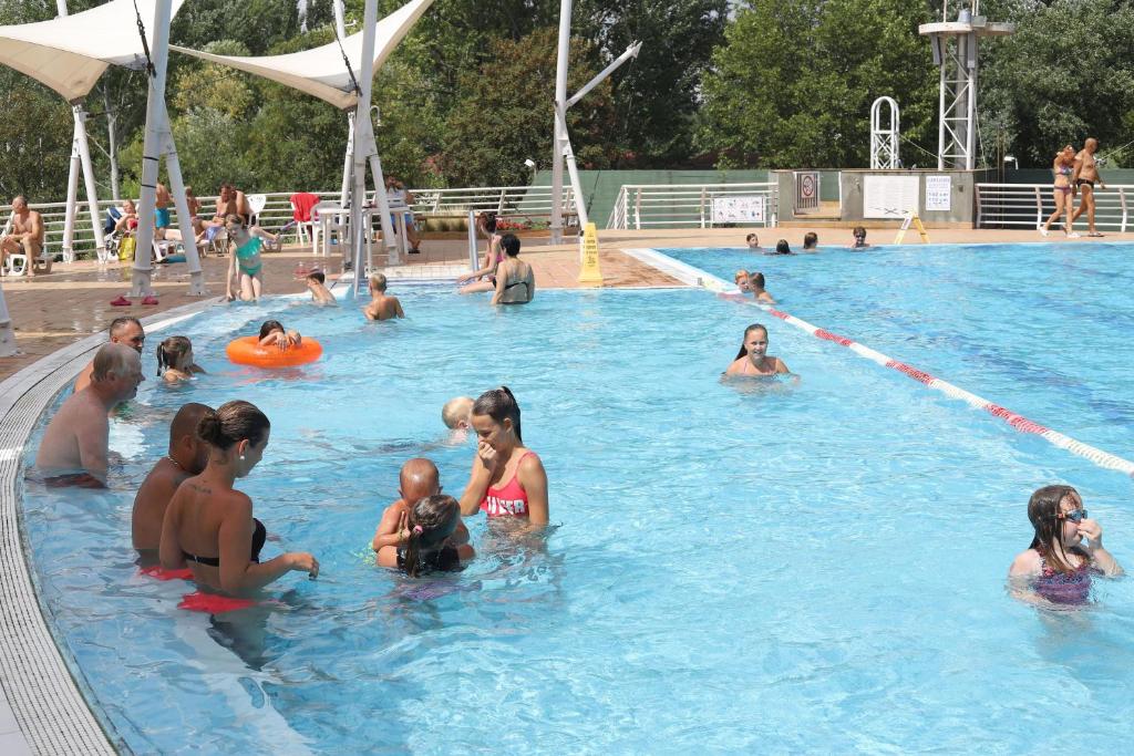 un grupo de personas en una piscina en Balatontourist Füred Camping & Bungalows en Balatonfüred