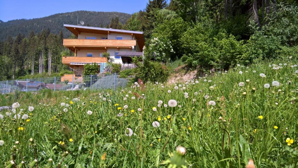 a field of flowers in front of a house at Holiday Home Zillertal - Haus Gigl in Bruck am Ziller