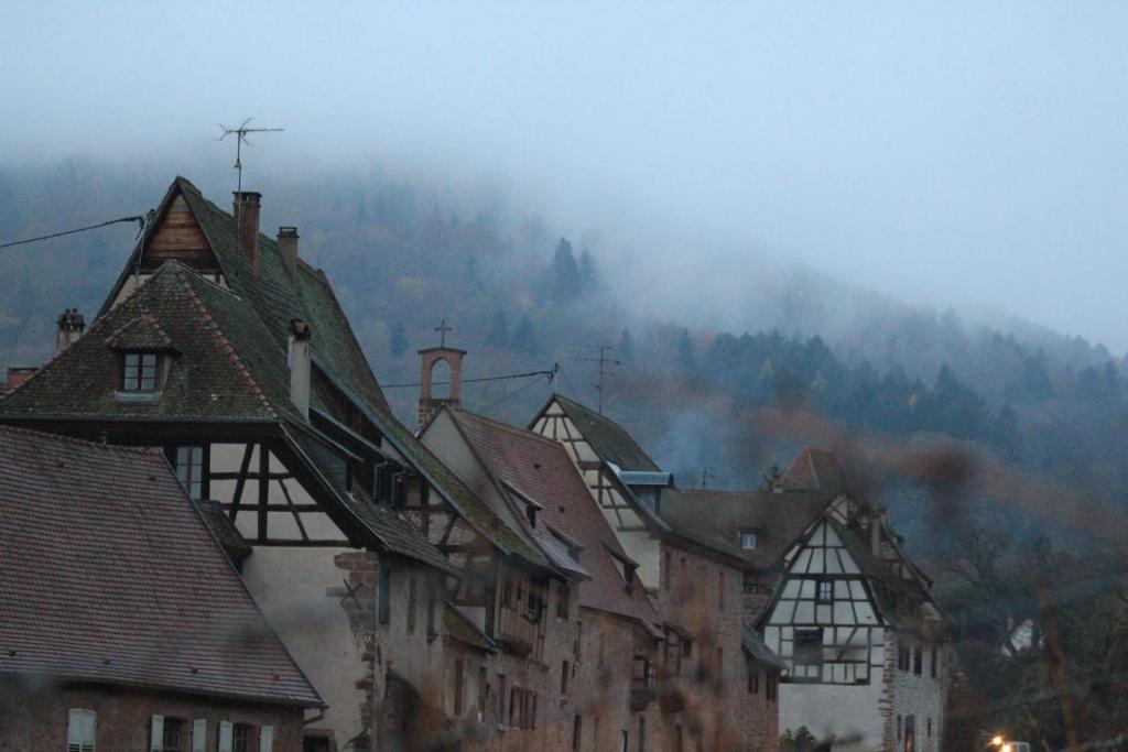 Les Gîtes Coeur de Vigne – photo 32