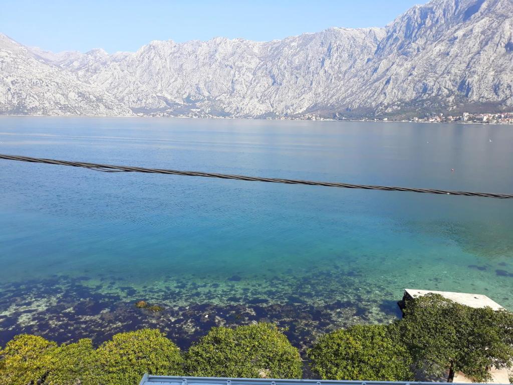 Apartments Popovic - 1