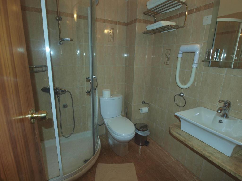 a bathroom with a shower and a toilet and a sink at Asteri Hotel in Livadi
