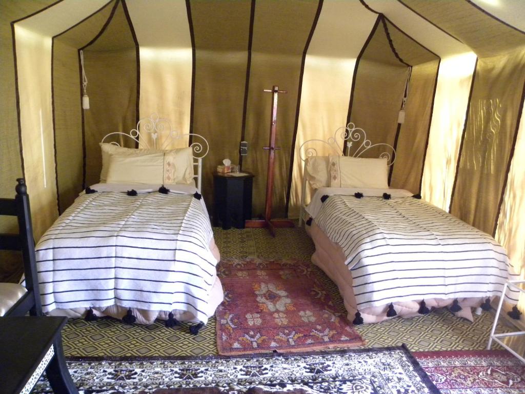 Sahara Luxury Camp - Tente