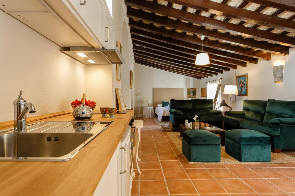 kuchnia ze zlewem i salon w obiekcie Loft Catedral Jerez w mieście Jerez de la Frontera