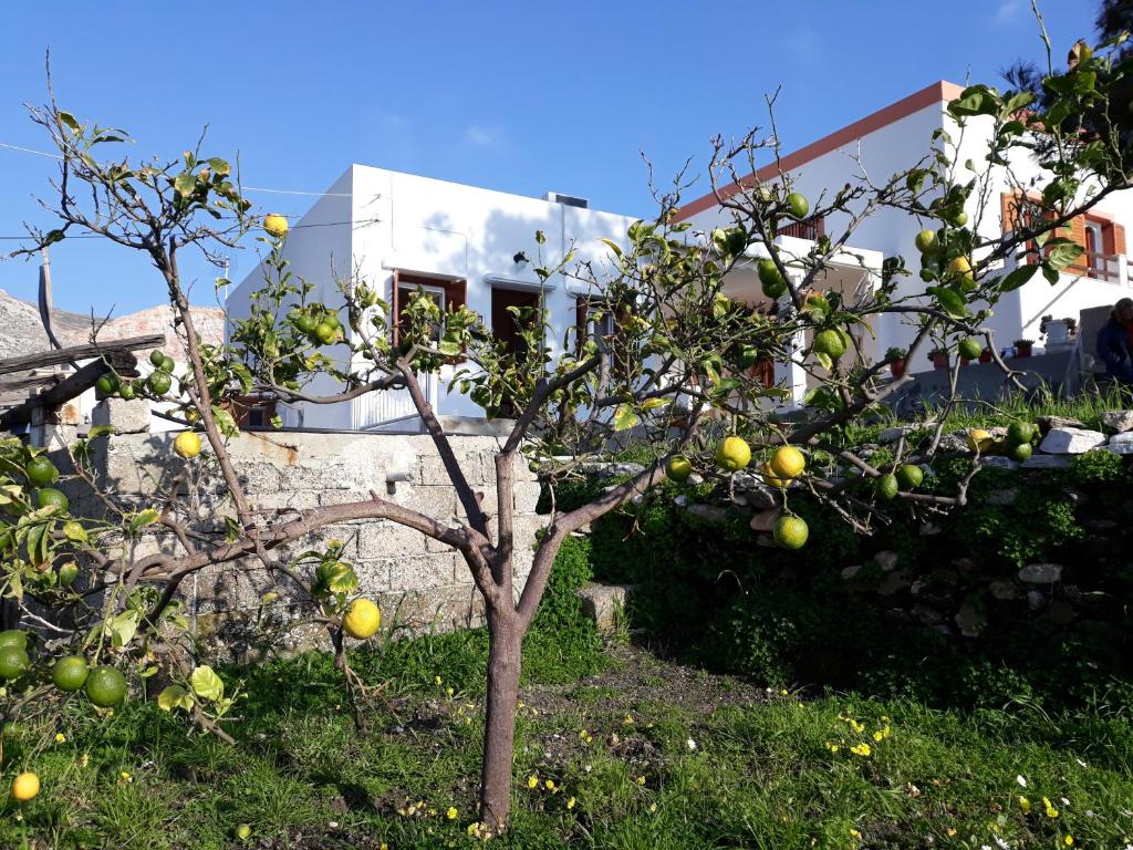 Vonkajšia záhrada v ubytovaní MARIA GUESTHOUSE KINI