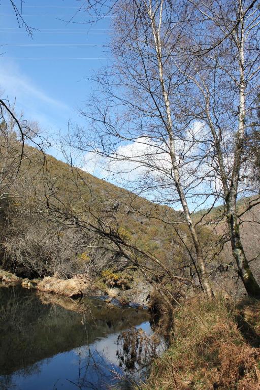 Paisaje cerca of this country house