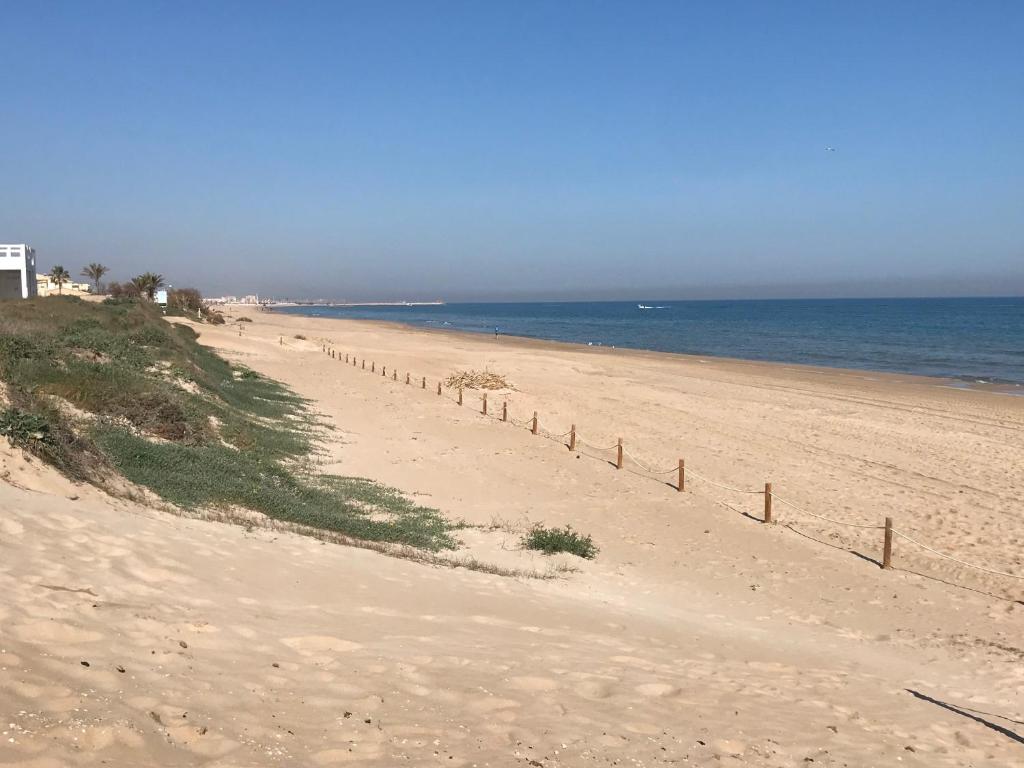 En strand ved eller i nærheten av leiligheten