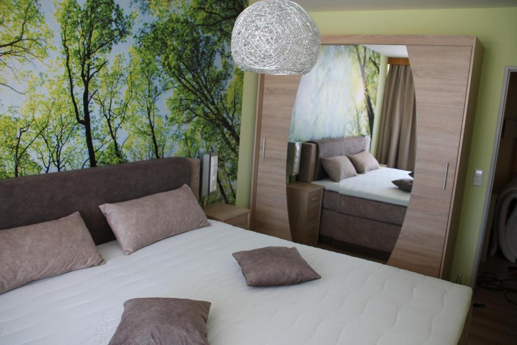 um quarto com uma cama e um espelho grande em Apartment Schluchsee em Schluchsee