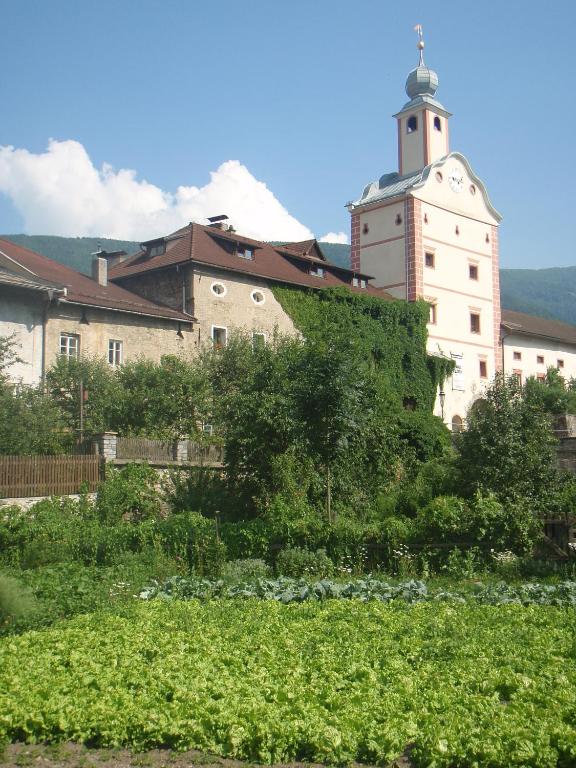 Příroda nedaleko hotelu