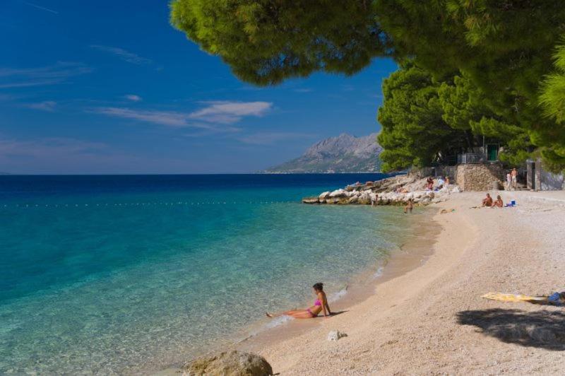 a woman sitting on a beach near the water at Apartman Leo in Brela