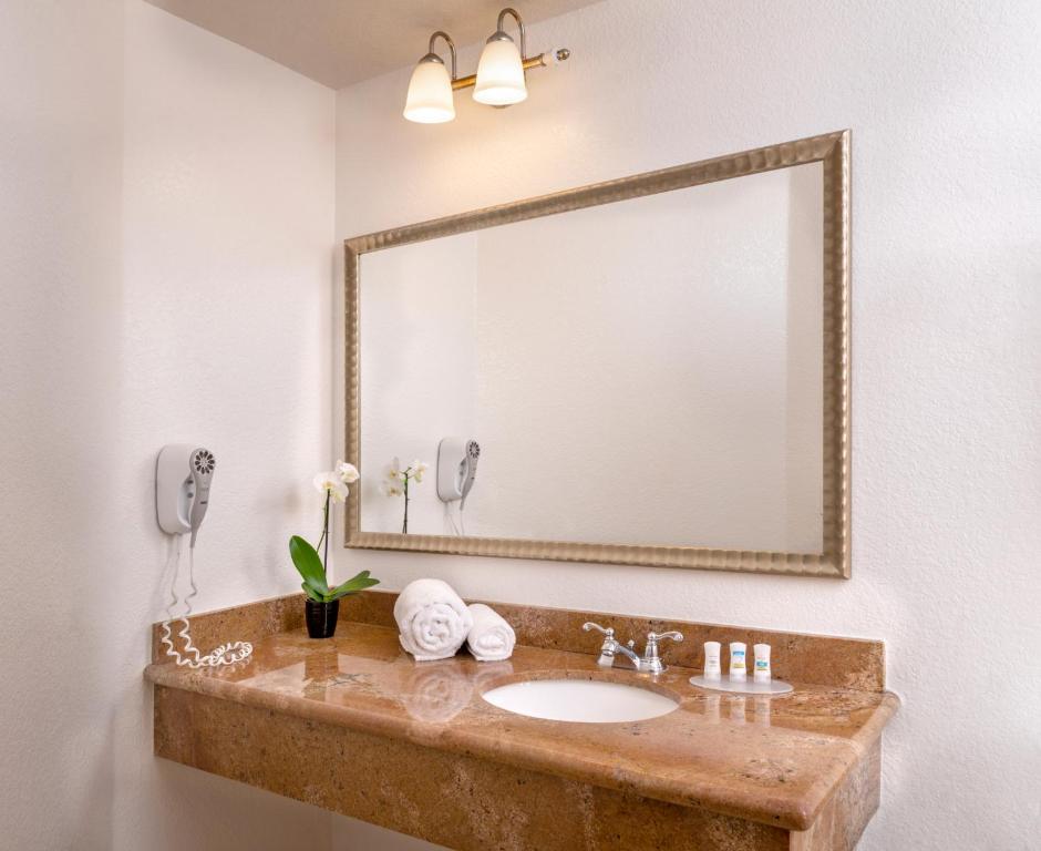 Beachfront Inn and Suites at Dana Point - Deluxe Suite Mit Queensize-Bett