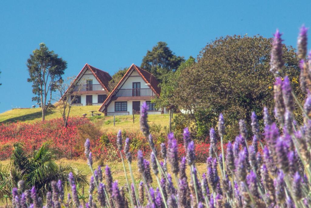a house on a hill with a field of flowers at Chalés da Cuesta in Pardinho