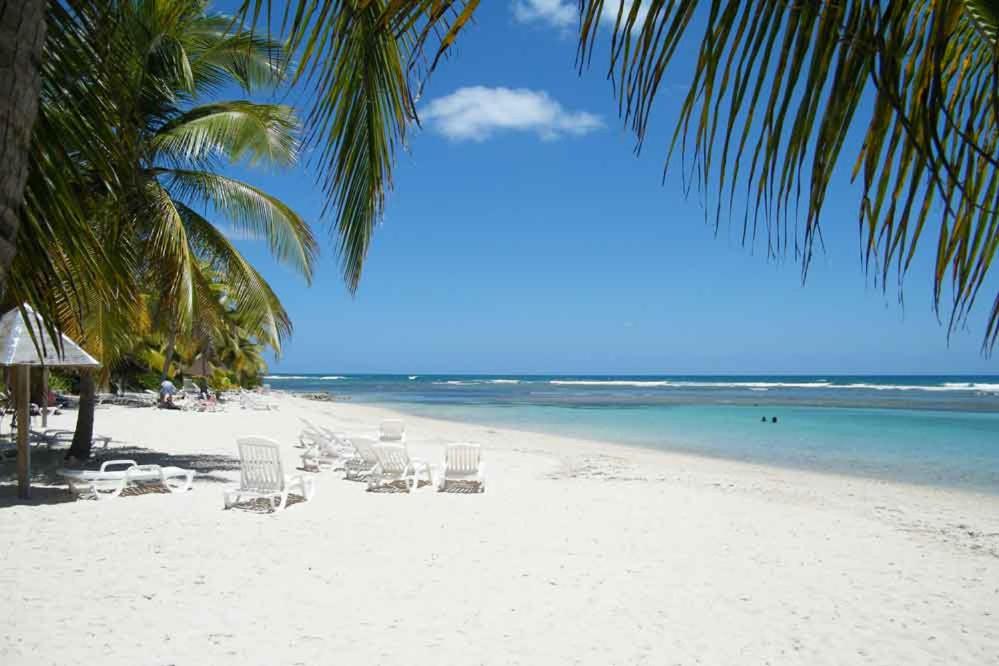 una playa con sillas, palmeras y el océano en Bungalows MALUEVA, en Sainte-Anne