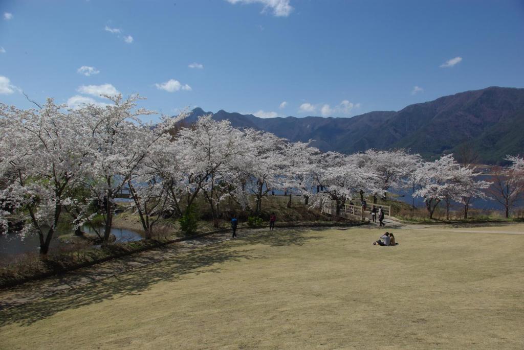 Paesaggio naturale nelle vicinanze del ryokan