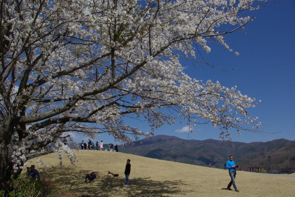 Paesaggio naturale nelle vicinanze del ryokan