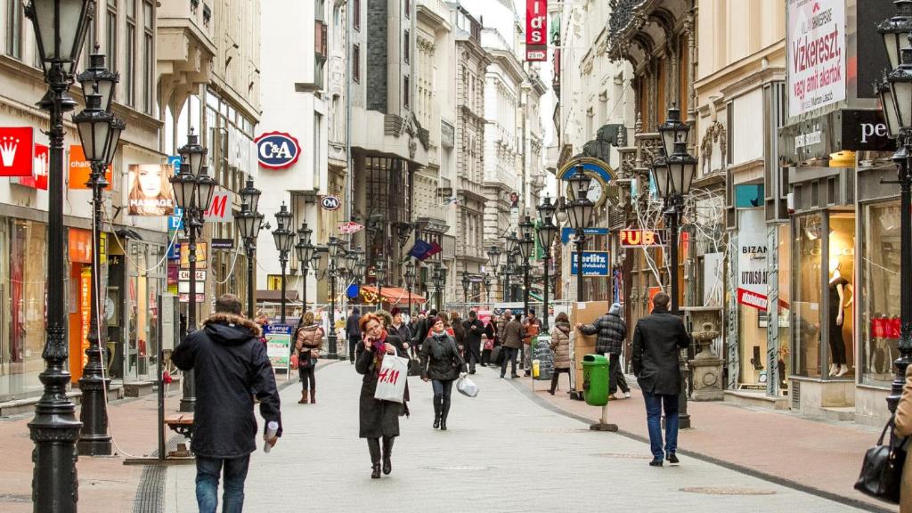 Hostia v ubytovaní Budapest Diamond Flat